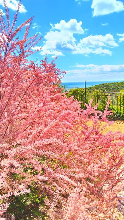 Villa Topola Dış mekan fotoğraf
